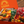 Load image into Gallery viewer, ギフトセットB+SAMABOX