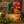 Load image into Gallery viewer, お得セットB